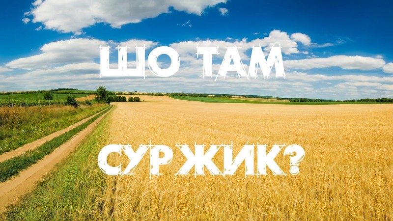 Про суржик і регіональні діалекти