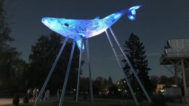 Київський Кит запускає аудіовізуальну програму зі звуком київських річок