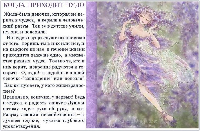 /cudo.jpg новогодние чудеса